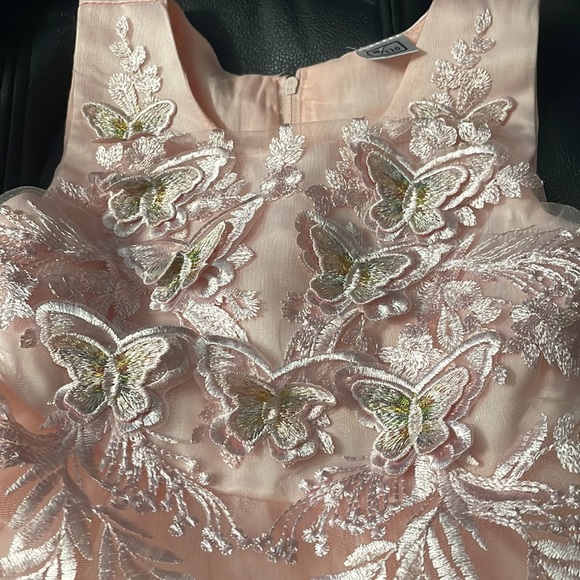 Beautiful dress worn 1 hour , No tag size 8/110 which equals 4T - Picture 2 of 3